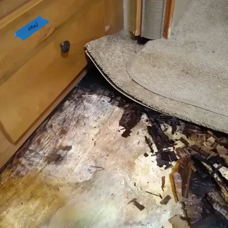 Best Wood Floor Water Damage Service in Swedesboro, NJ